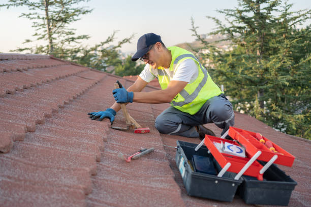 Best Best Roofing Contractors  in Nicholasville, KY