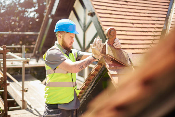 Best Roof Maintenance Services  in Nicholasville, KY