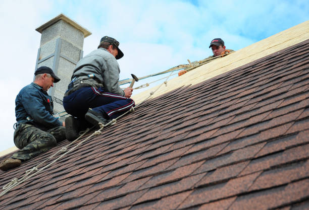 Quick and Trustworthy Emergency Roof Repair Services in Nicholasville, KY